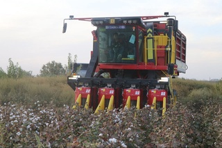Bu yilgi mavsumda ilk bor 1700 ga yaqin paxta terish mashinalari ishtirok etishi kutilmoqda