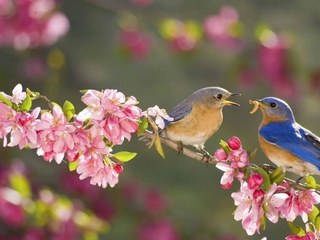 В Узбекистане в выходные дни ожидается преимущественно сухая и теплая погода до +17 градусов
