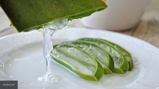 Ученые: растения против коронавируса