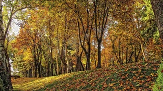 Ҳафта салқин ҳаводан бошланди