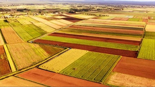 Давергеодезкадастрнинг айрим функциялари Қишлоқ хўжалиги вазирлигига ўтказилди
