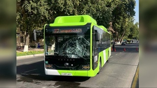 Toshkentda avtobus piyodani urib yubordi