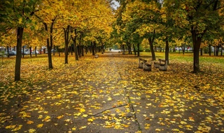 Дем алыс күнлери Өзбекстанда ҳаўаның суўытыўы ҳәм қурғақ болыўы күтиледи, температура 15 дәрежеге шекем төменлейди