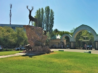 Toshkent hayvonot bog'i haqidagi filmning namoyishi bo'lib o'tadi