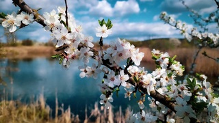 Weather forecast for March 11