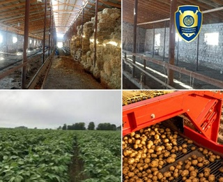 Tadbirkorlarning mulklarini qoʻlga kiritgan firibgarlar aniqlandi