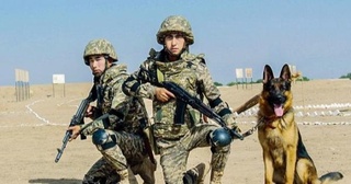 Будут созданы отряды содействия Пограничным войскам