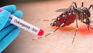 Chikungunya fever spreading in China does not pose a threat to Uzbekistan