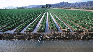 Обсуждены вопросы развития агропромышленного сектора