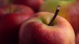 Ўзбекистон Новосибирскка қарийб 200 тонна олма экспорт қилди