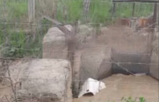 Қирғизистон ва Ўзбекистон чегарасида махфий туннель топилди