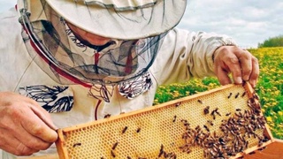 Дело жизни не одного поколения