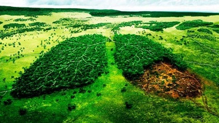 Пришло время действовать