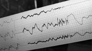 Олмаотада кучли зилзила юз берди