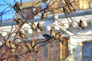 Прогноз погоды на 25 декабря