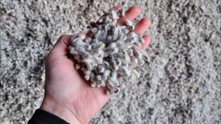 Ҳуқуқий талабларга амал қилмайдиган МЧЖ фаолияти аниқланди