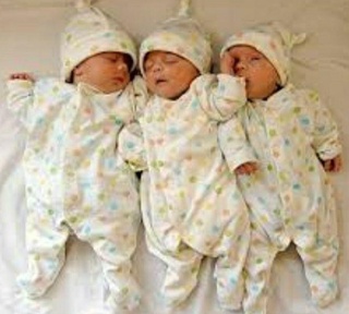 Чироқчида яна 3 эгизак-паҳлавон туғилди