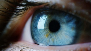 Why do we see patterns when we close our eyes?