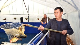 Бекабадский район: точки роста и перспективные возможности