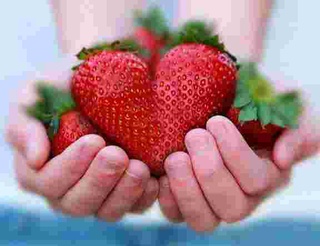 Ulkan qulupnay Ginnessning rekordlar kitobiga kirdi