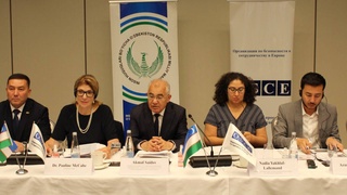 Осваивая международные стандарты в области предупреждения пыток