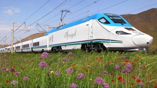 В преддверии Дня учителя и наставника запущены дополнительные поезда между Ташкентом и Карши