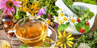 Fitoichimliklar tayyorlashni bilasizmi?