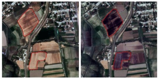 Июнь ойида 5350 гектар сомон поялар ёқиб юборилган — Uzcosmos