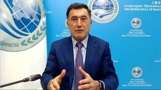 Владимир Норов: ШОС лишена каких-либо атрибутов военного альянса