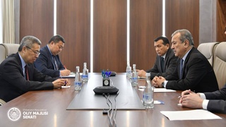 Обсуждено сотрудничество между Всемирной торговой организацией и УМЭД