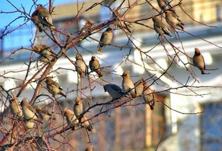 Прогноз погоды на 30 декабря