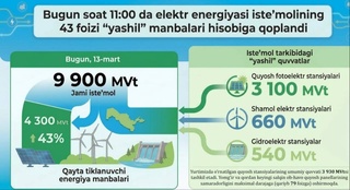 В Узбекистане доля «зеленой» энергии в потреблении электроэнергии достигла 43%
