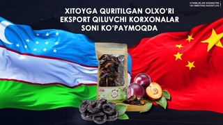 Хитойга қуритилган олхўри экспорт қилувчи корхоналар кўпаймоқда