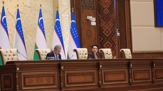 Цель парламентского запроса - создание достойных условий труда для женщин