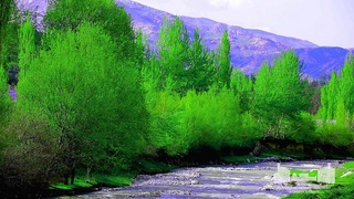 Тәбият пенен келисиў