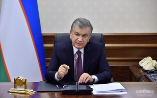 Ўрмон хўжалигини ривожлантириш бўйича вазифалар белгиланди