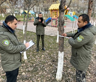 Давлат экология қўмитаси ижтимоий тармоқларда тарқалган хабарга муносабат билдирди