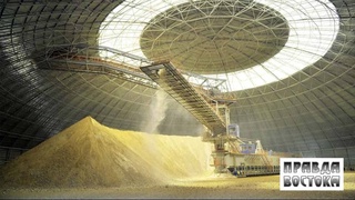 В лидерах производства цемента