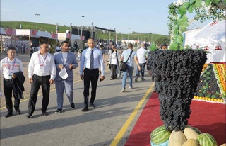 “Uzum sayli” xalqaro festivalining rasmiy ochilish marosimi oʻtkazildi