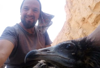 Краснокнижную птицу впервые в Узбекистане пометили спутниковыми передатчиками