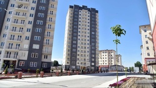 Yangihayot tumani hokimligi tashkil etildi