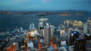 IPU New Zealand университети Ўзбекистонда талаб юқори бўлган мутахассисларни тайёрлаши мумкин