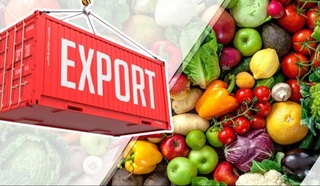 Узбекистан экспортировал фрукты и овощи на сумму 1,9 млрд долларов