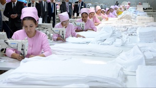 Навоий вилоятидаги кичик бизнес субъектлари сони 18 мингтага яқинлашди