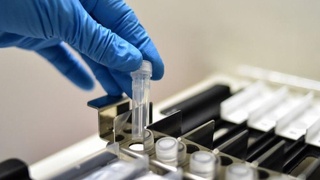 ВОЗ: массовая вакцинация от коронавируса может начаться в середине 2021 года