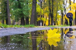 A cool and rainy week is expected in Uzbekistan