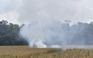 Бар асари суқути ҳавопаймои якмоторӣ дар штати Индиана чаҳор нафар ба ҳалокат расиданд