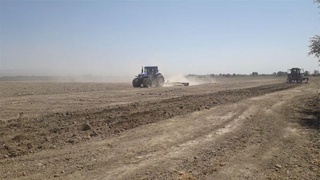 Gʻalladan boʻshagan maydonlardan qaysi maqsadlarda foydalanilmoqda?