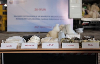 More than 2 tons of drugs destroyed in Tashkent on Anti-Drug Day