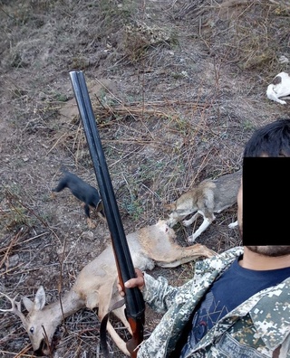 Ҳайвон ови қимматга тушди